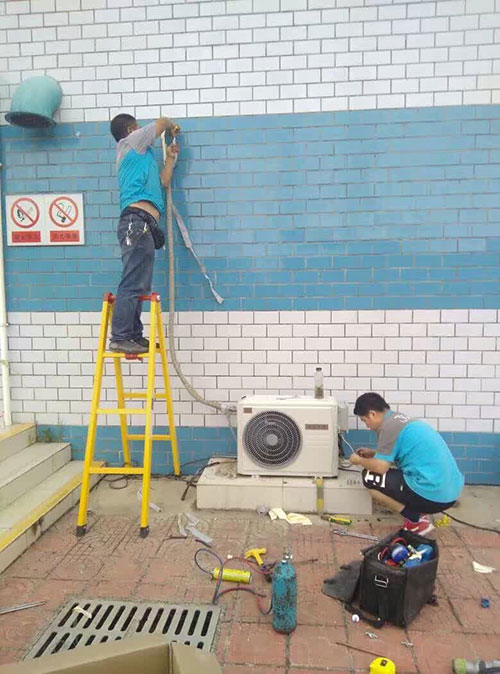 �������{�F�����b�D