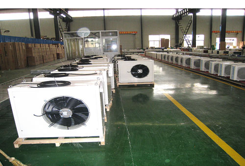 �������{