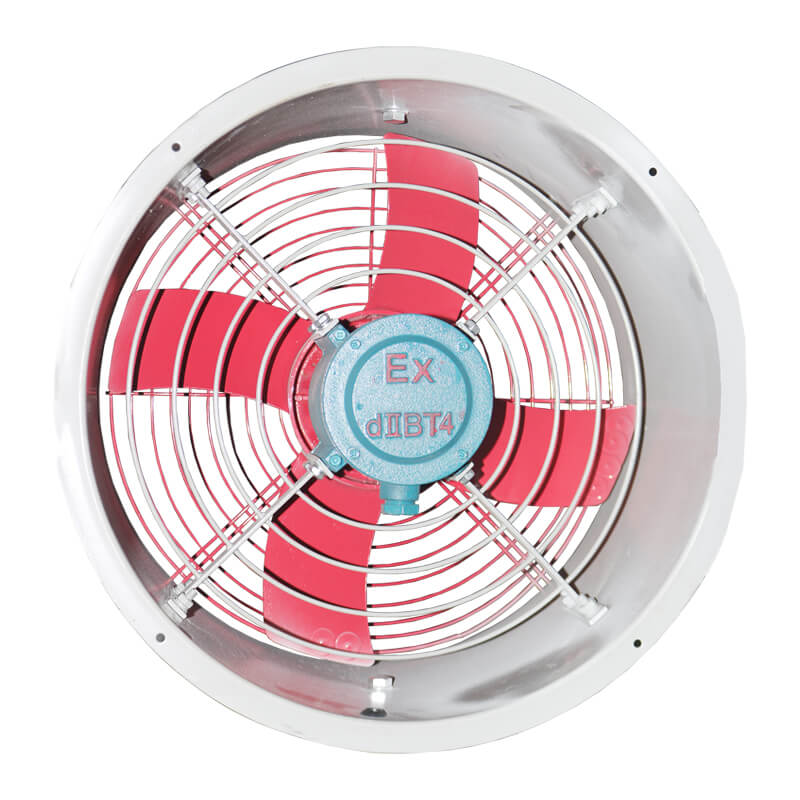 ���������S���L�C