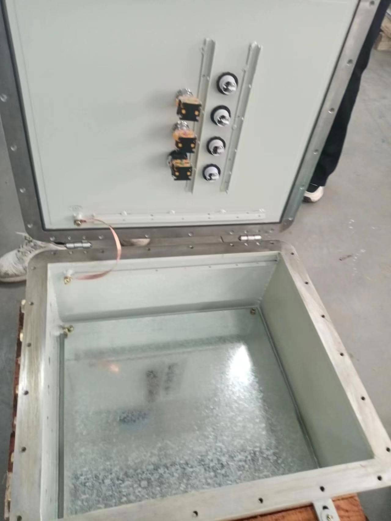 �����䚤�w���ӹ����N���|��